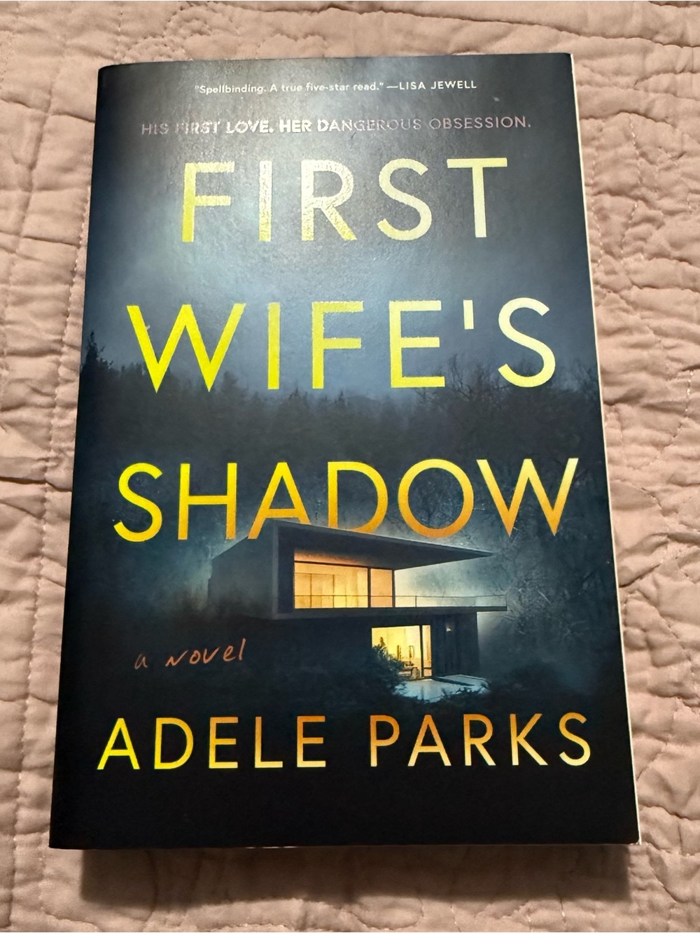 Barnes & Noble First Wife's Shadow Hardcover - Blue Cover with Yellow Text